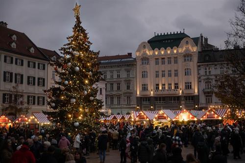 Adventfahrt nach Bratislava